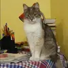 Отзыв от Полина Демьянова